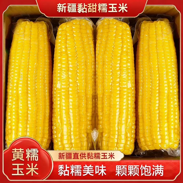 【非转基因】新疆知春寒黄糯玉米棒有机绿色双认证真空包装288g*8