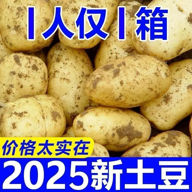 东北农家土豆杨清家