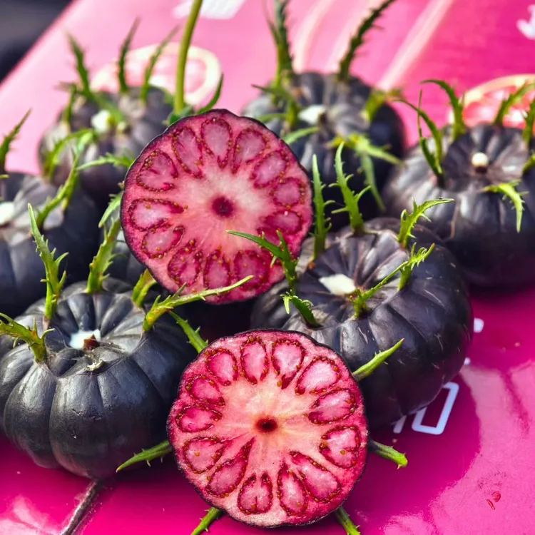 【特大果】云南红果参新鲜现摘蜘蛛果算盘果当季稀有水果产地直发