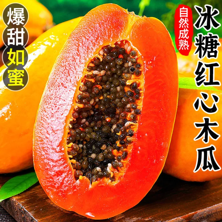 【催熟后食用】红心牛奶冰糖木瓜新鲜采摘带箱5斤单果400g+坏果包赔