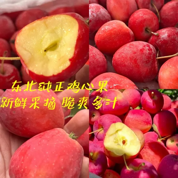 东北特产鸡心果锦绣海棠酸甜可口脆爽多汁新鲜应季水果