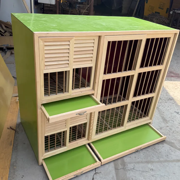 一雄双雌阳台小鸽舍1.2长x1米宽x60深