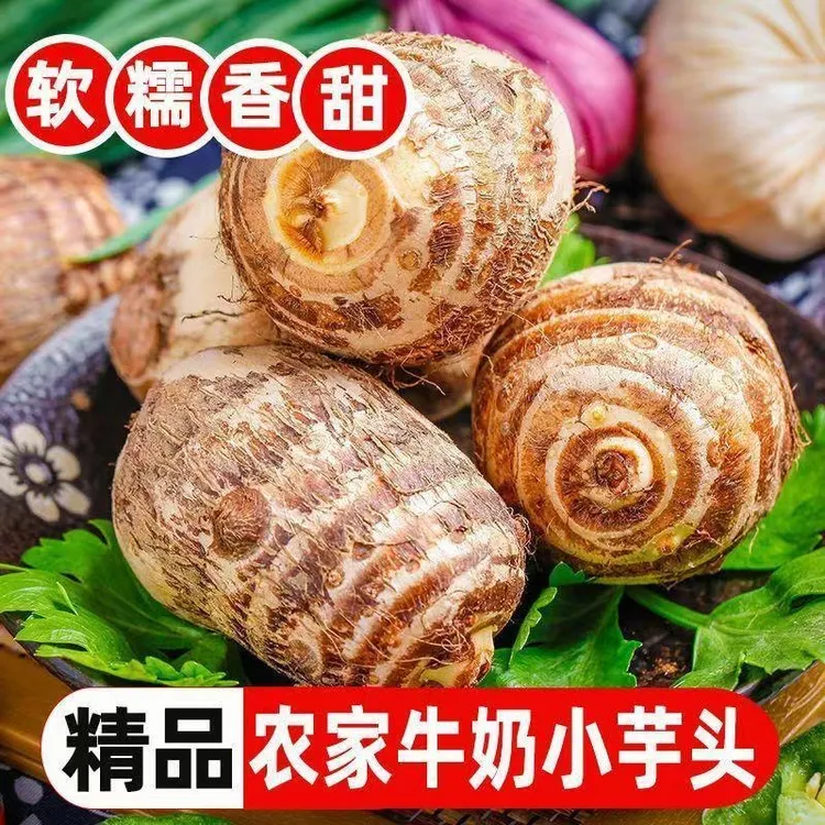 山东新鲜毛芋头芋仔粉糯小牛奶芋头山东芋艿香芋软糯芋仔奶香芋头