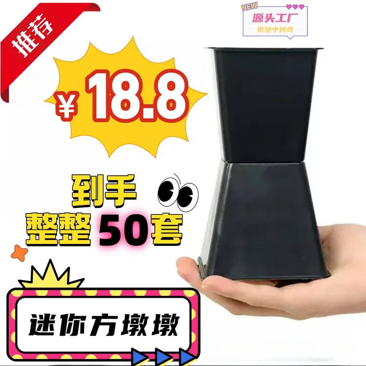 迷你方墩墩小号黑色白色圣诞节教师节小花束花店母亲节520