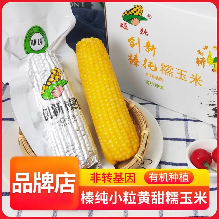 创新榛纯甜糯玉米软香铝箔新鲜甜玉米段儿童款营养好吃食用小粒黄