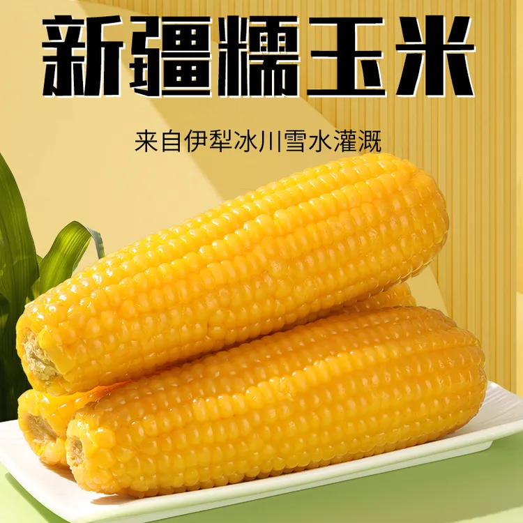 (新疆伊犁黄糯玉米)黄糯玉米微甜软糯250g*8根新疆发货
