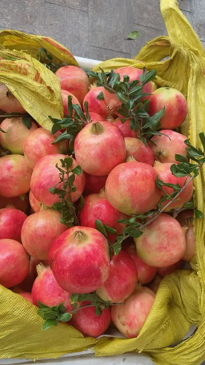 四川攀枝花软籽石榴新鲜当季水果现摘爆甜多汁