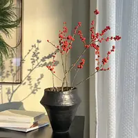 【北美冬青】真花盆栽年宵花过年鲜花喜庆发财红果果云南基地直发