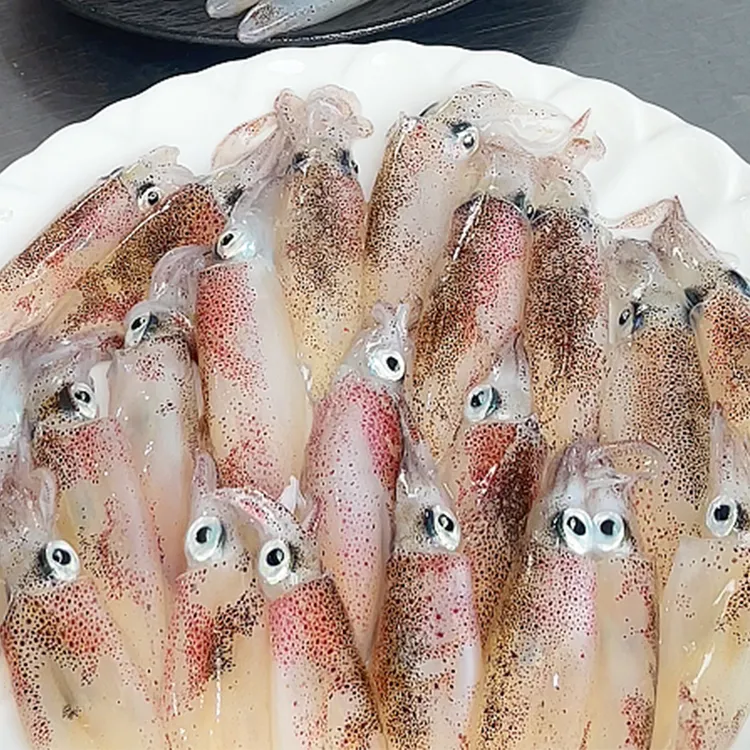 博贺港手钓鱿鱼标准一口鱿速冻锁鲜无膏无籽