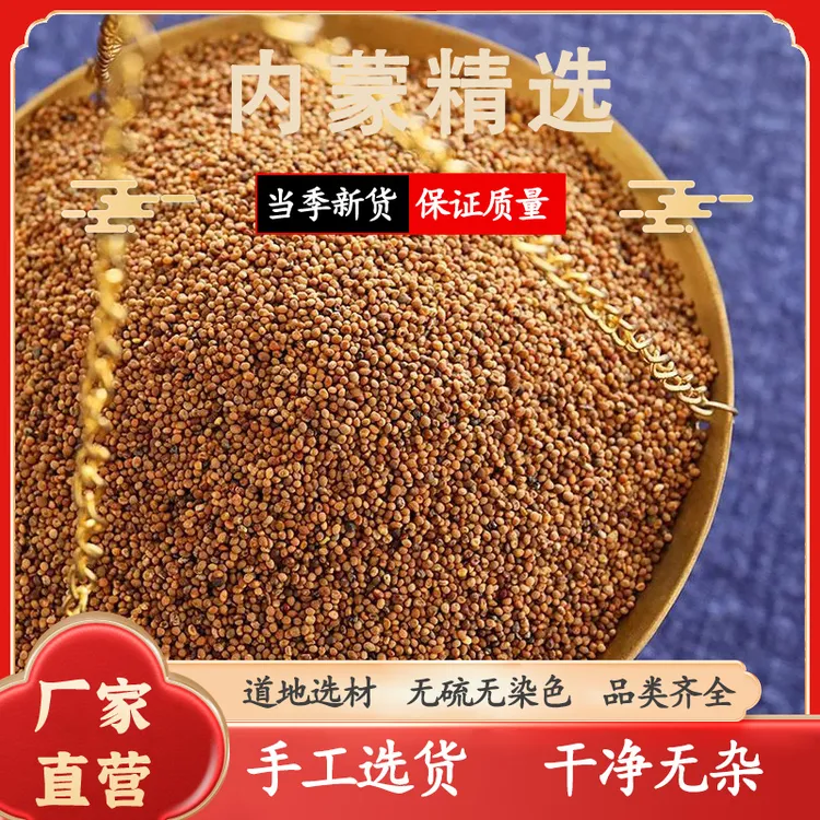 正品精选水洗菟小丝子产地精选泡茶代加工食用农产品内蒙古丝子茶