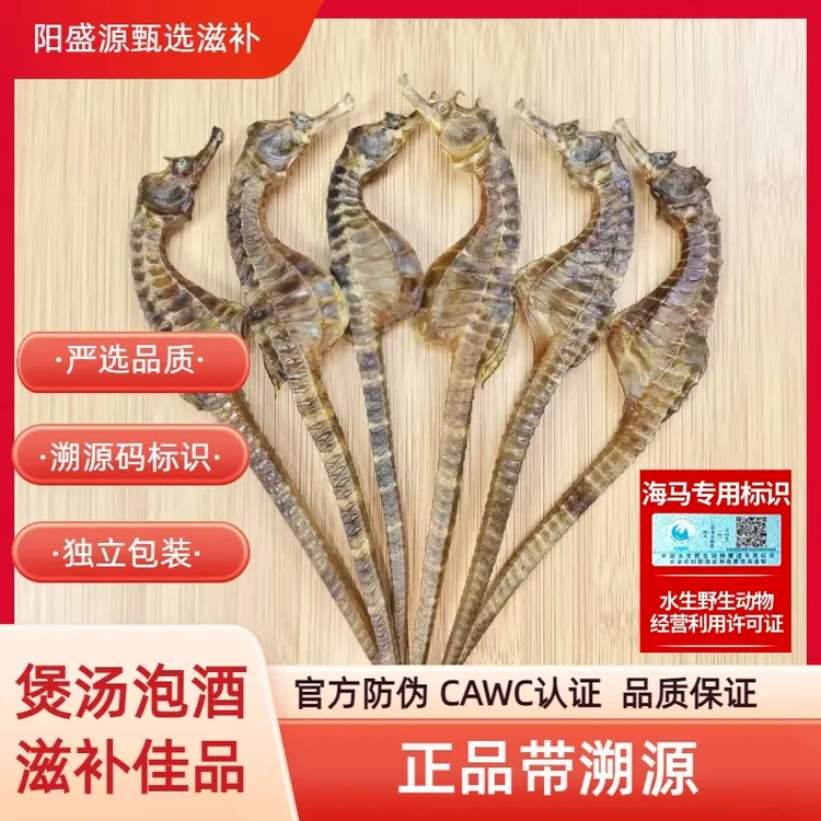 公母搭配足干海干货海马可煲汤泡酒做汤料海马泡酒专用