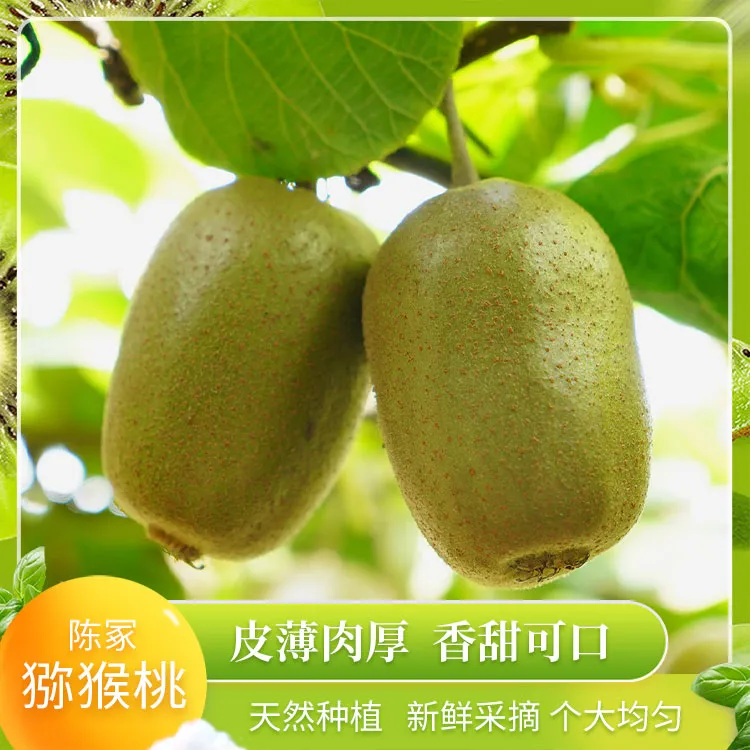 绿心猕猴桃泰山一号博山碧玉奇异果当季新鲜水果香甜多汁坏果包赔