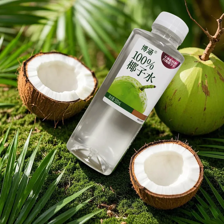 博涵椰子水工厂店