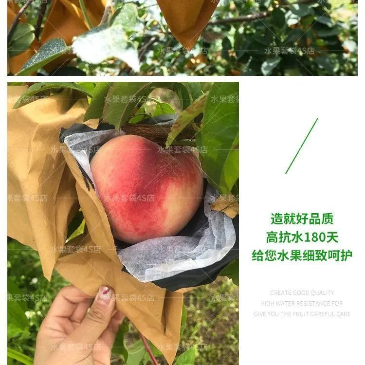 新款通用桃子套袋黄桃冬桃专用袋防水透气晚熟加厚桃袋子防鸟防虫