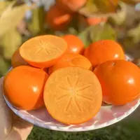 正宗阳丰脆柿新鲜应季巧克力脆柿冰糖心无核