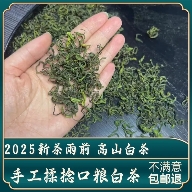 2025新茶上市雨前二级手工白茶高山绿茶高兰花香浓香御子恒