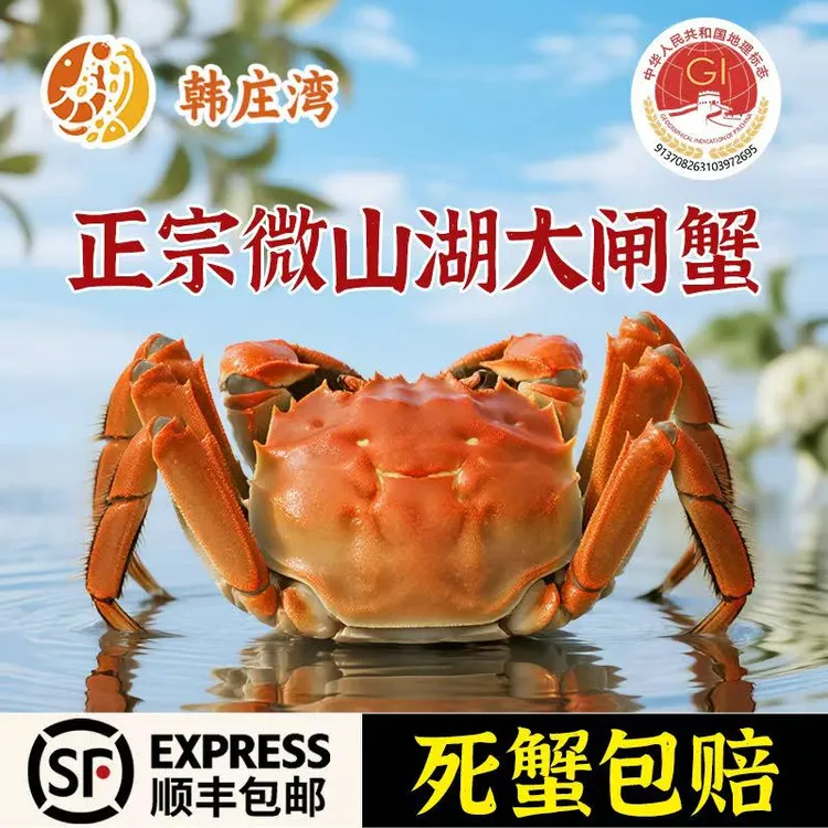 【活蟹现发】微山湖韩庄湾精品大闸蟹全母蟹2.3-2.0两8/10/12只