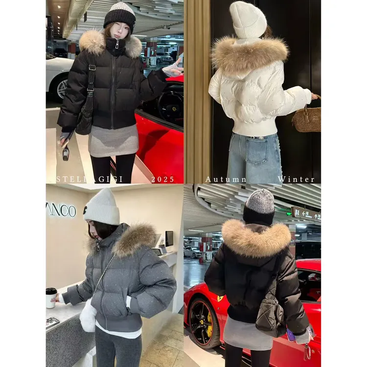 SG / 杨依姗 AW满天星 貉子毛领连帽烫钻羽绒服WT-20252473