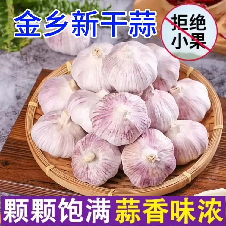 山东紫白皮蒜5斤新干蒜农家自种辛辣提香优质农产品特大紫皮大蒜