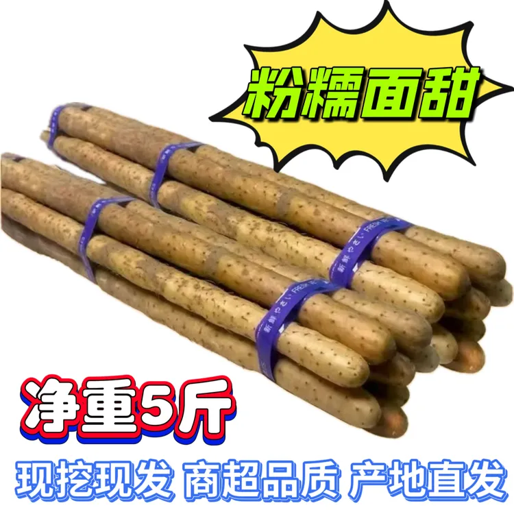【粉糯滋补】正宗垆土铁棍山药粗大铁棍怀山药新鲜现挖长50公分左右