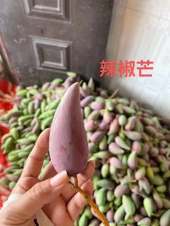 百色辣椒芒新鲜应季水果香甜多汁肉质细腻整箱包邮