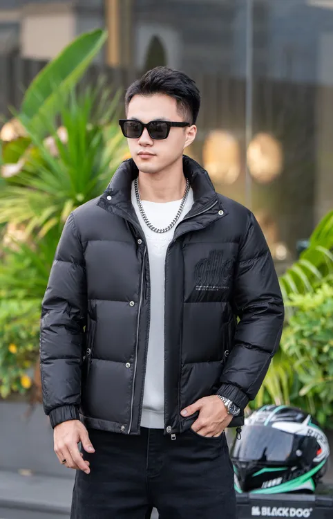 【SITEWEIE】2025欧货新国标90白鸭绒羽绒服男装保暖短款立领2550