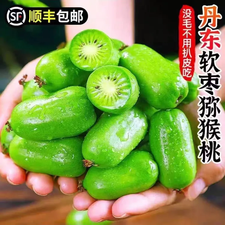 顺丰包邮放软食用丹东软枣猕猴桃奇异果奇异莓