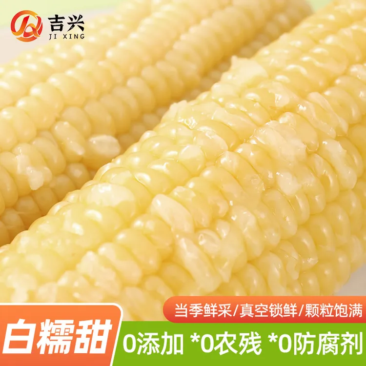 25年头茬(试吃5支)正宗东北白糯玉米10支黏糯240-260克