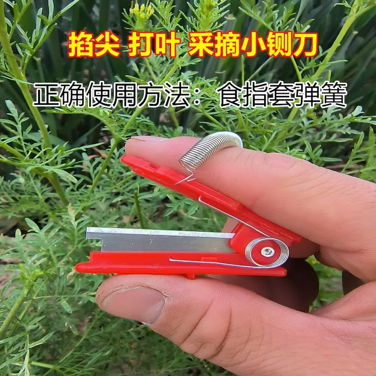 采摘小铡刀采摘拇指刀蔬菜豆角黄瓜采摘刀葡萄掐尖掐须打叶刀