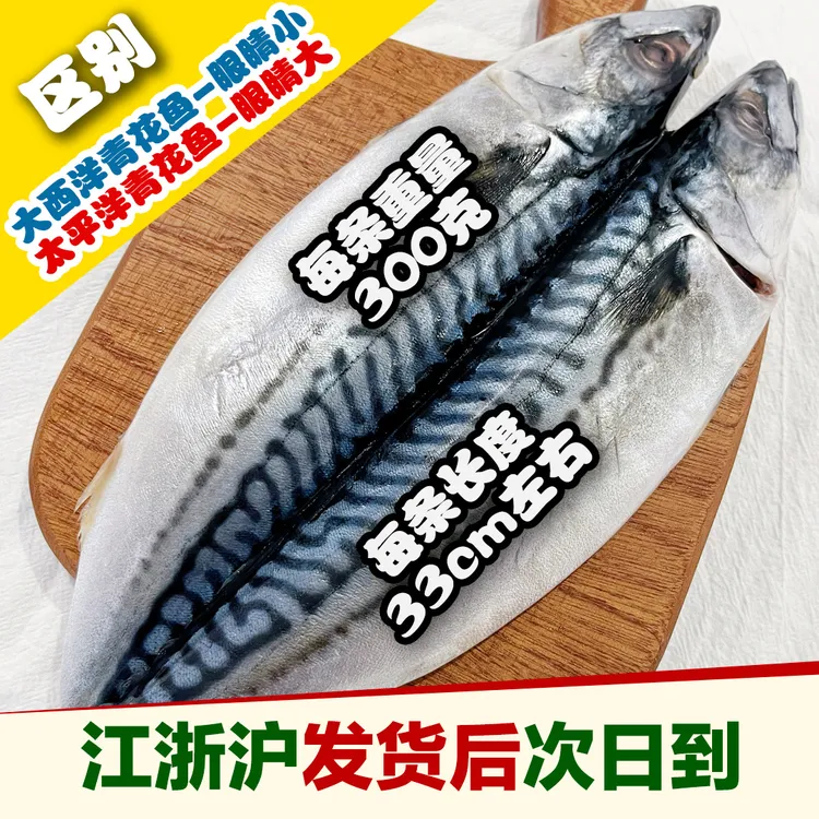 生鲜大叔挪威青花鱼大西洋鲭挪威鲭鱼鲜香美味油脂丰富300克一袋