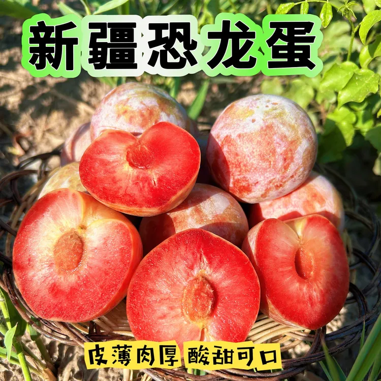 【家庭实惠装】新疆恐龙蛋杏李新鲜应季水果酸甜可口产地直发包邮