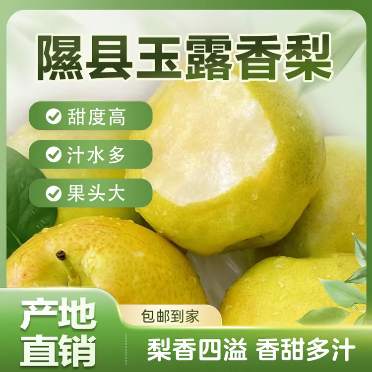 正宗隰县玉露香梨新鲜应季老树采摘孕妇香甜多汁水果