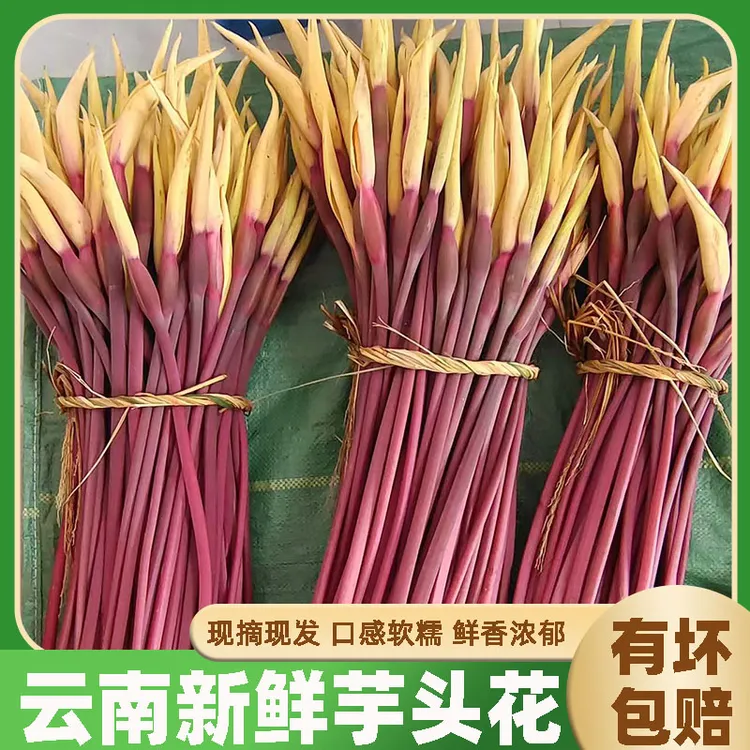 云南农家网红特产芋荷花新鲜现摘芋头花时令蔬菜纯天然