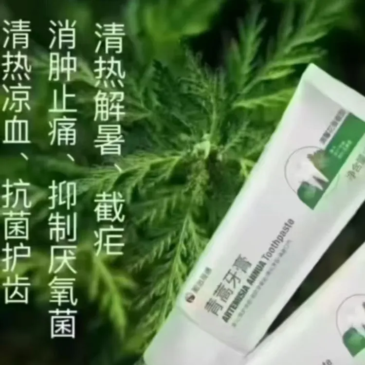 和治友德青蒿牙膏（2支装）