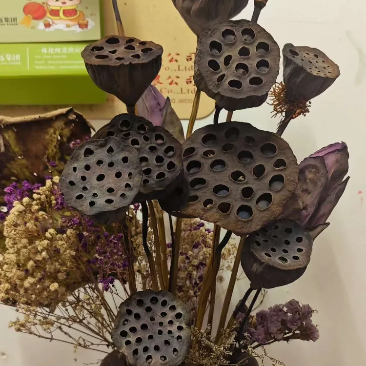 主播推荐真杆莲蓬原杆莲蓬干花带籽无拼接杆古法诧寂/禅意风
