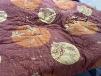 [福袋专用链接]双层纱冬被2