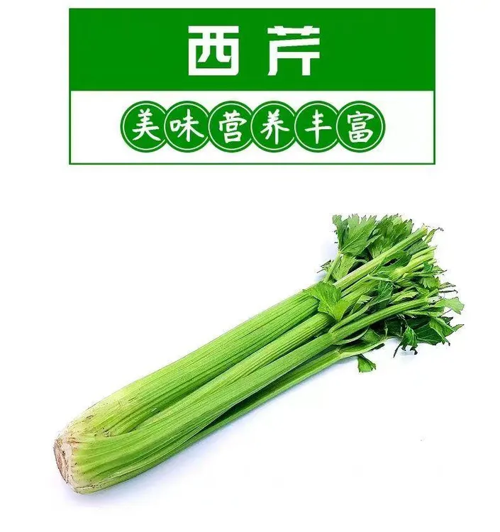 山东水果西芹农家土肥料有机种植新鲜采摘生吃榨汁凉拌热炒