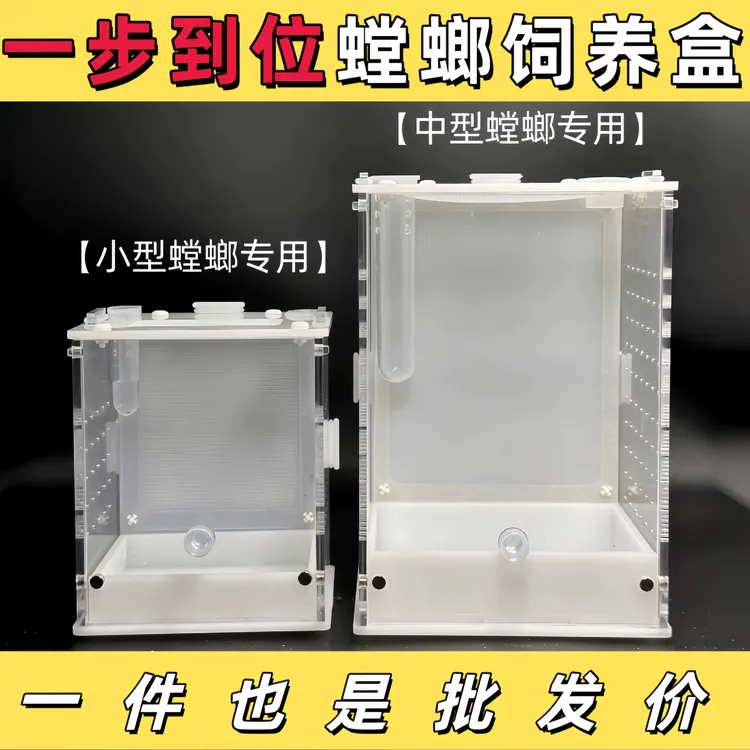 螳螂饲养盒磁吸开门造景活体昆虫树蛙爬虫鸣虫跳蛛宠物饲养箱网箱