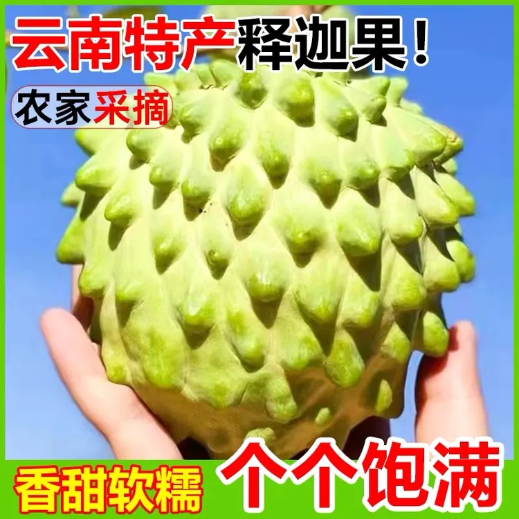 新鲜现摘凤梨释迦果番荔枝牛奶释迦摩尼果