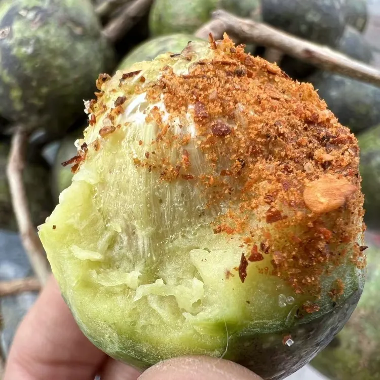 云南普洱嘎哩啰咳地佬开胃果新鲜马卵果现摘孕妇水果凉拌生吃包邮