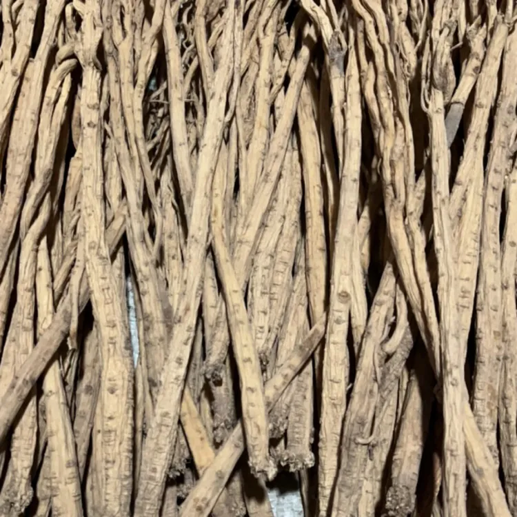 甘肃高源干货—种植党参