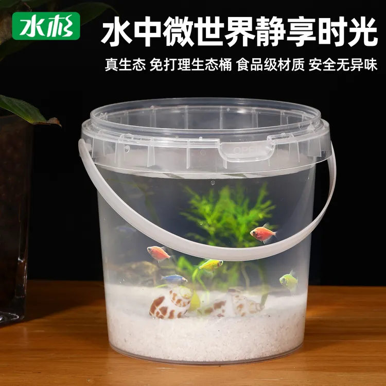 水杉开学季超便携生态景观桶透明塑料养鱼养龟桶手提迷你水桶养鱼