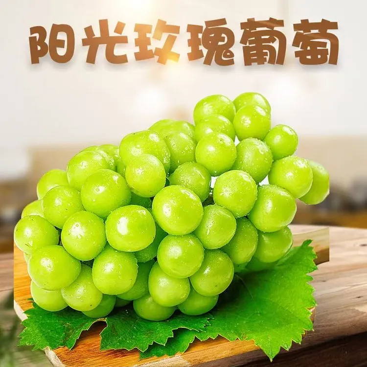 顺丰正宗山东晴王阳光玫瑰葡萄大颗粒阳光玫瑰葡萄新鲜采现摘现发