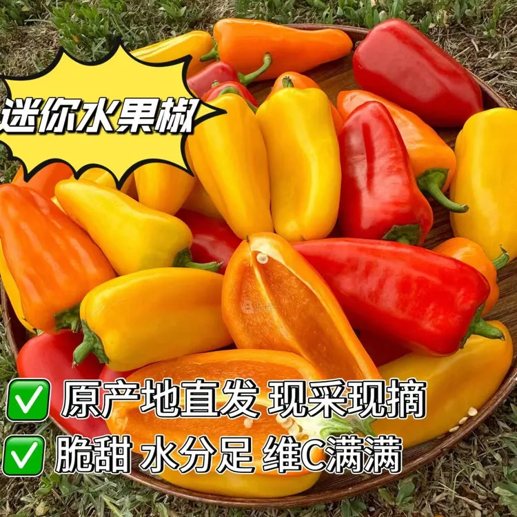 【现摘现发】山东寿光现摘现发水果彩椒脆甜多汁生吃不辣清甜可口