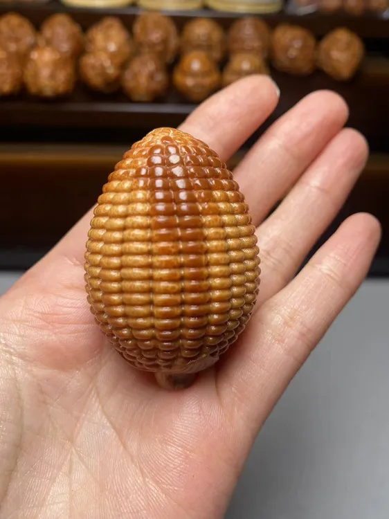 巴西大橄榄多子多福