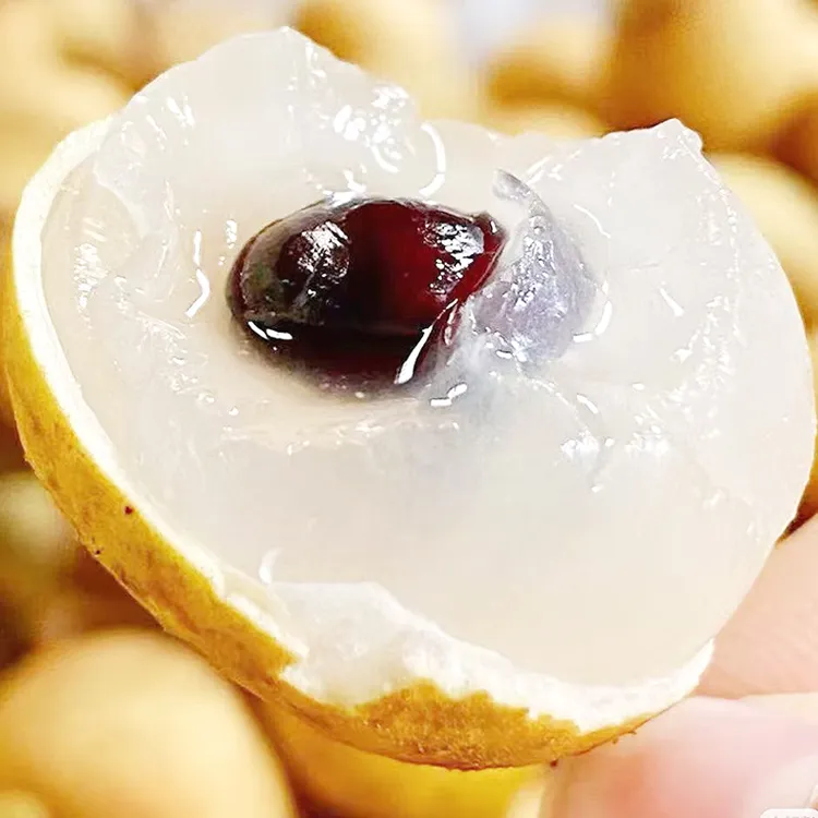 (精品好货大果)泰国金标大龙眼新鲜大龙眼带枝条5斤/3斤