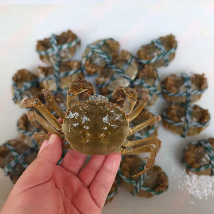 丹阳湖鲜活精品大闸蟹3两母10只顺丰直发