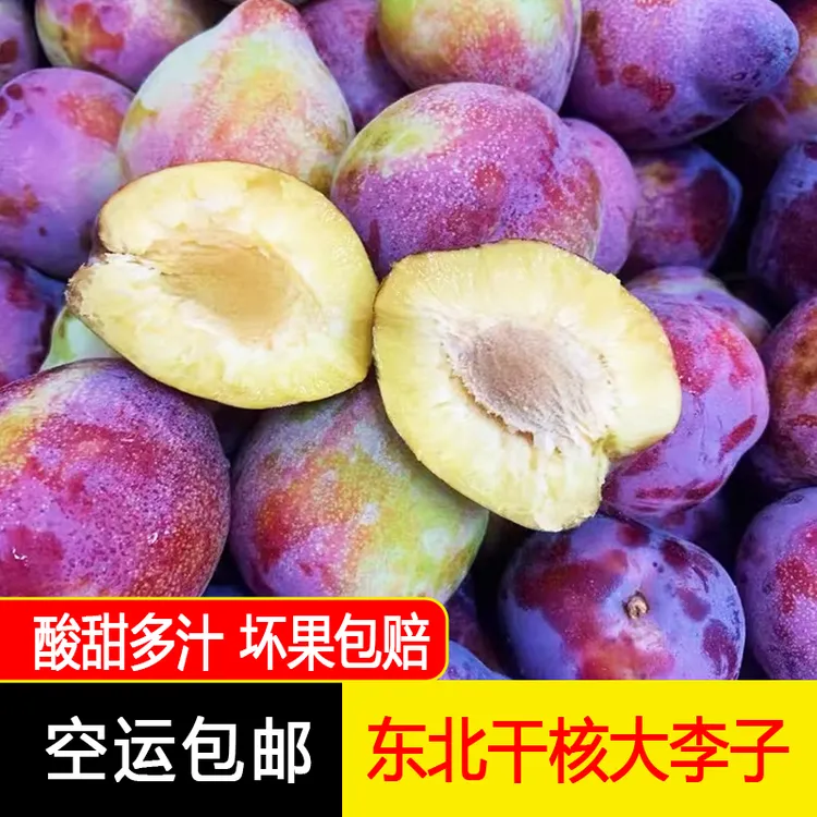东北当地吉盛李子干核离核酸甜李子孕妇水果2/3/5斤空运包邮