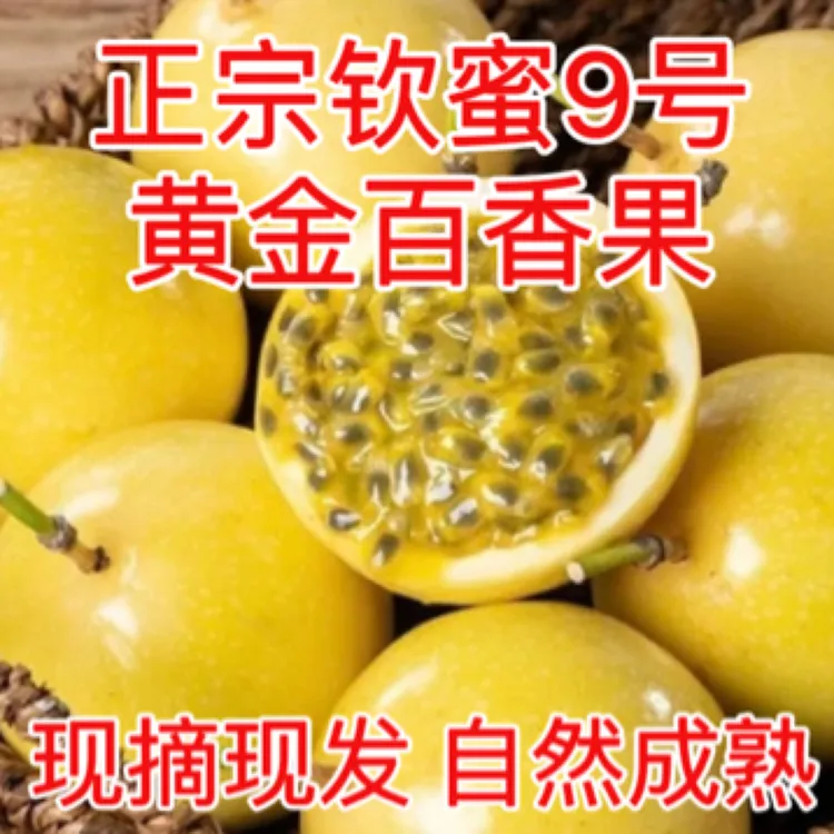 当季新鲜钦蜜九号百香果香甜多汁产地直发包邮单依纯