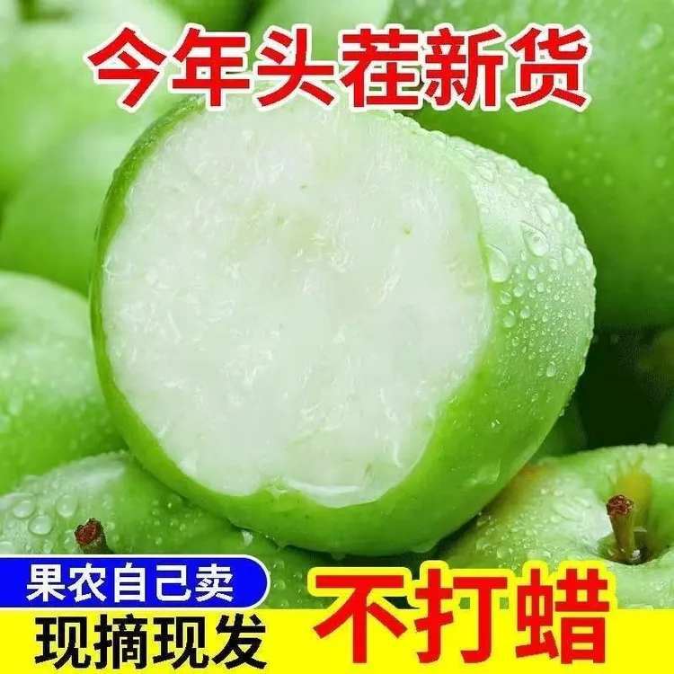 紫玉环【25年新果】现摘新鲜青苹果新苹果孕妇水果酸甜可口2/4/8斤